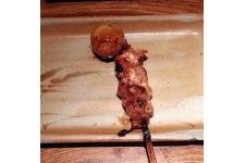 とり喜（とりき）③　～錦糸町☆焼き鳥～