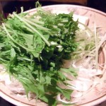 水菜・ネギ・豆腐